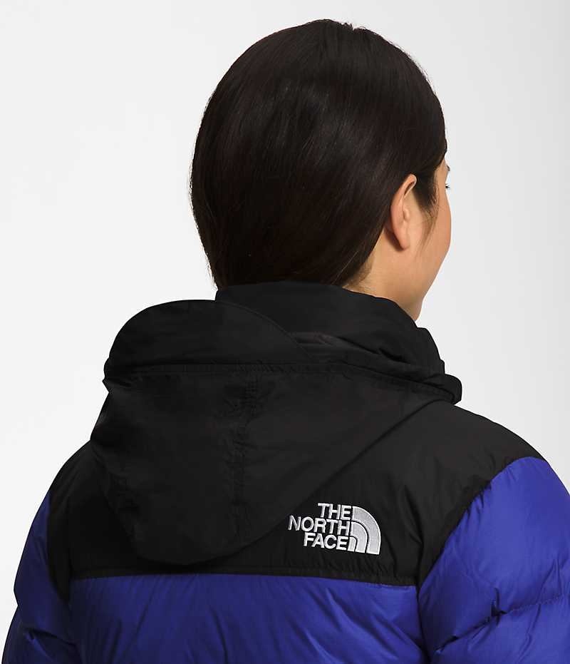 The North Face 1996 Retro Nuptse Aşağı Ceket Kadın Mavi | ISTANBUL WNLV
