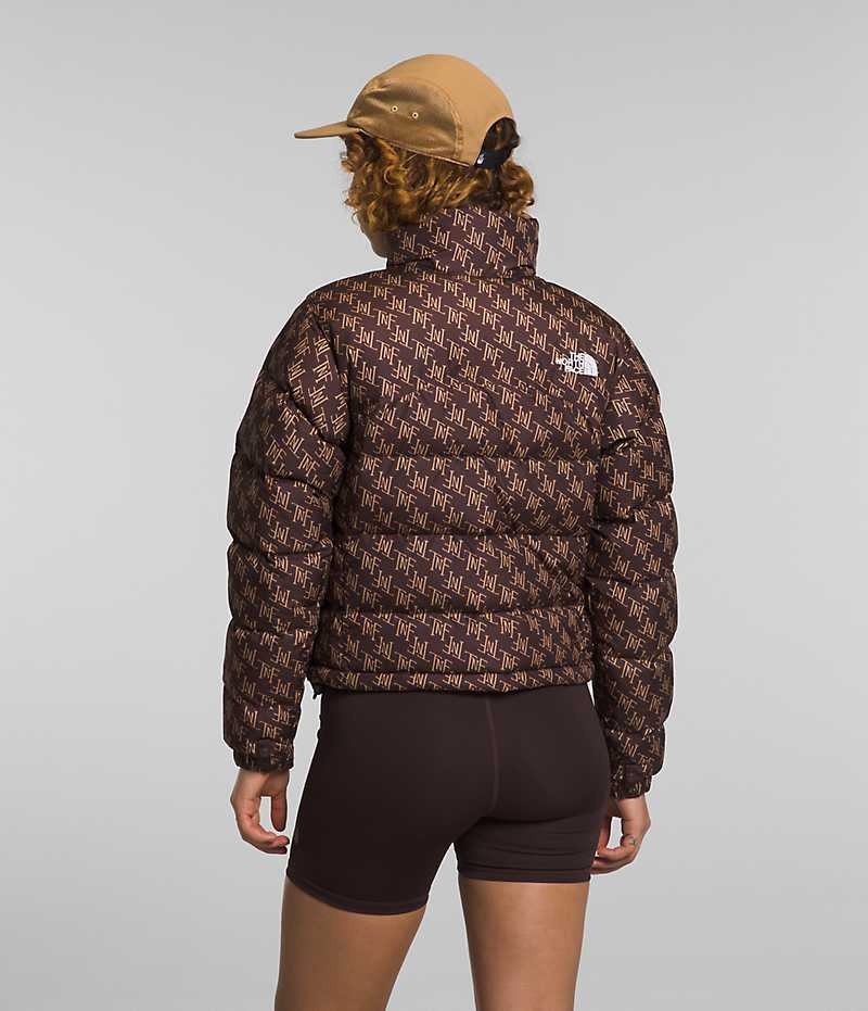 The North Face 2000 Retro Nuptse Aşağı Ceket Kadın Kahverengi | TÜRKIYE BKFR