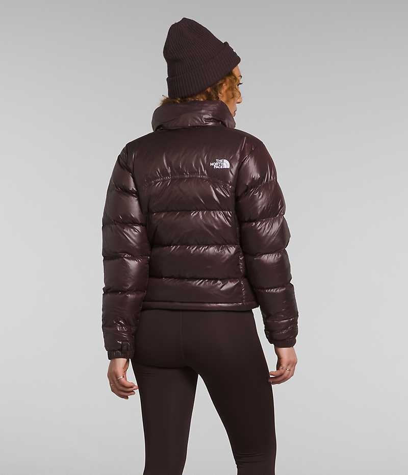 The North Face 2000 Retro Nuptse Aşağı Ceket Kadın Kahverengi | ISTANBUL KAEG