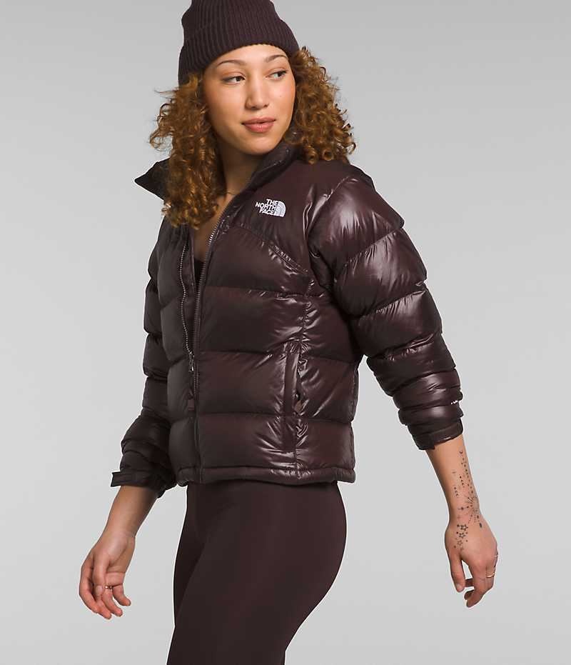 The North Face 2000 Retro Nuptse Aşağı Ceket Kadın Kahverengi | ISTANBUL KAEG