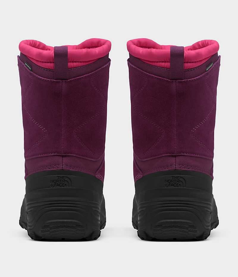 The North Face Alpenglow V Su Geçirmez Kışlık Bot Erkek Çocuk Küpe Çiçeği Siyah | ISTANBUL NJXA