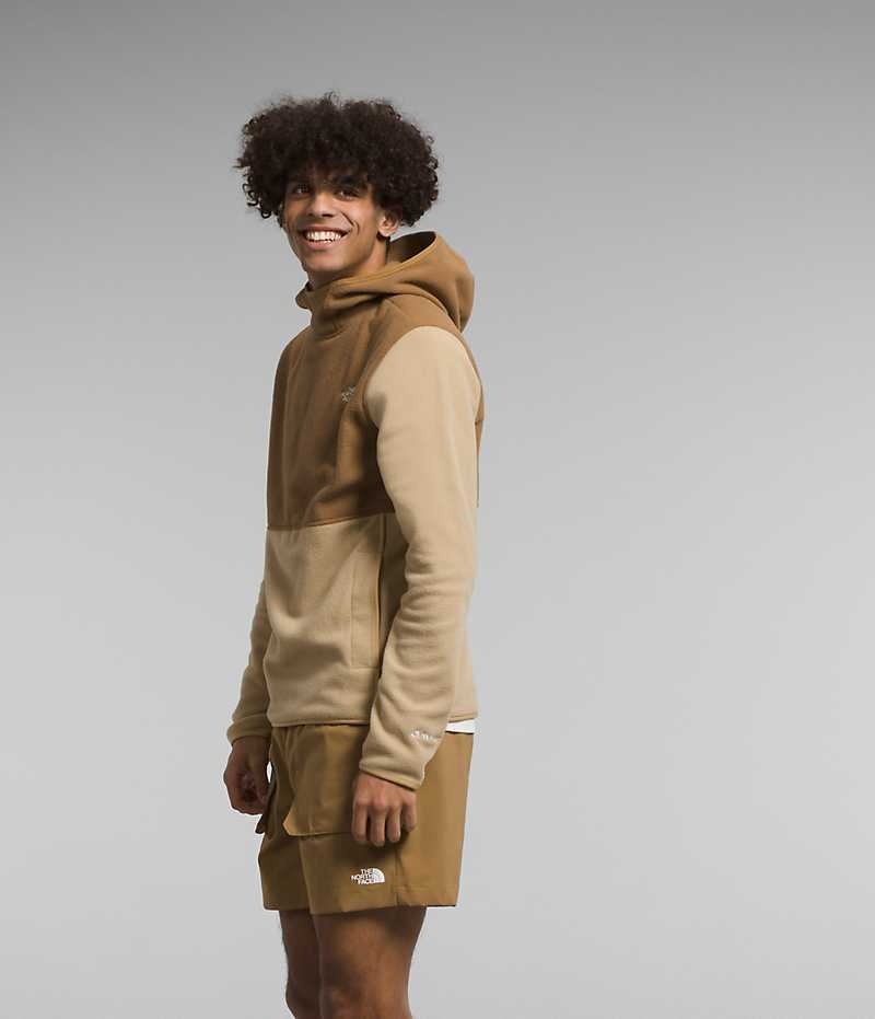 The North Face Alpine Polartec® 100 Sweatshirt Erkek Haki Kahverengi | TÜRKIYE FBGY