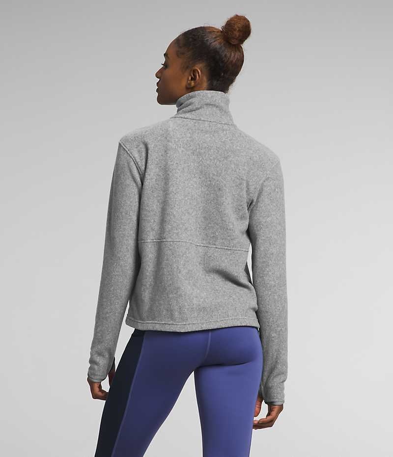 The North Face Alpine Polartec® 100 ¼-Zip Cowl Sweatshirt Kadın Gri | TÜRKIYE DIMS