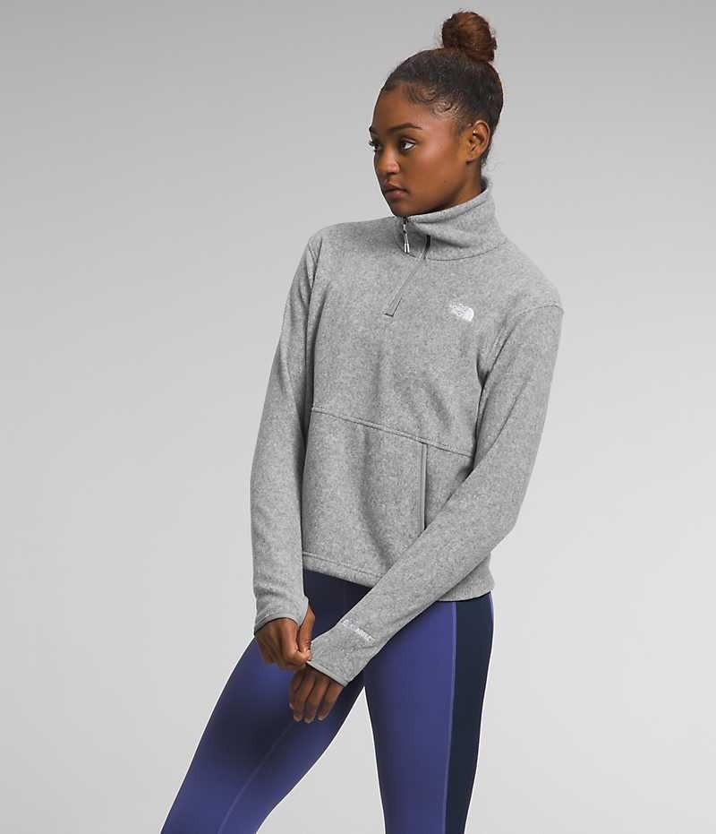 The North Face Alpine Polartec® 100 ¼-Zip Cowl Sweatshirt Kadın Gri | TÜRKIYE DIMS