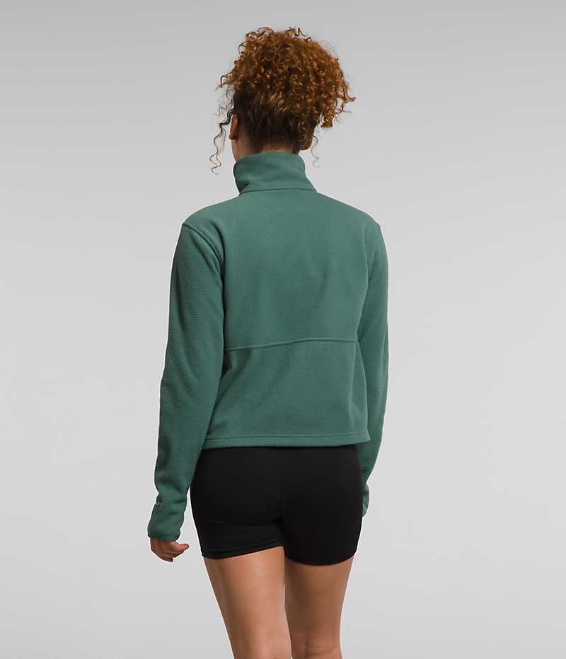 The North Face Alpine Polartec® 100 ¼-Zip Cowl Sweatshirt Kadın Yeşil | ISTANBUL ICEV