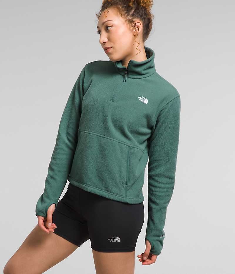 The North Face Alpine Polartec® 100 ¼-Zip Cowl Sweatshirt Kadın Yeşil | ISTANBUL ICEV