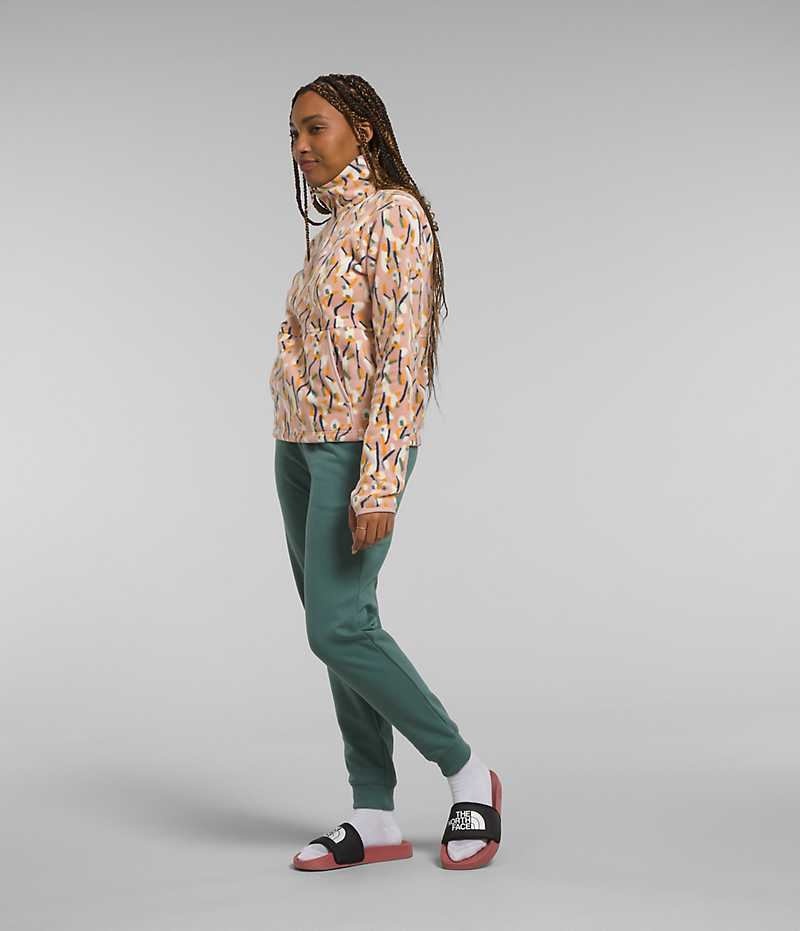 The North Face Alpine Polartec® 100 ¼-Zip Cowl Sweatshirt Kadın Renkli | TÜRKIYE AUDK