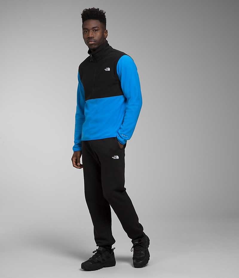 The North Face Alpine Polartec® 100 ½-Zip Sweatshirt Erkek Mavi Siyah | TÜRKIYE ZVCD