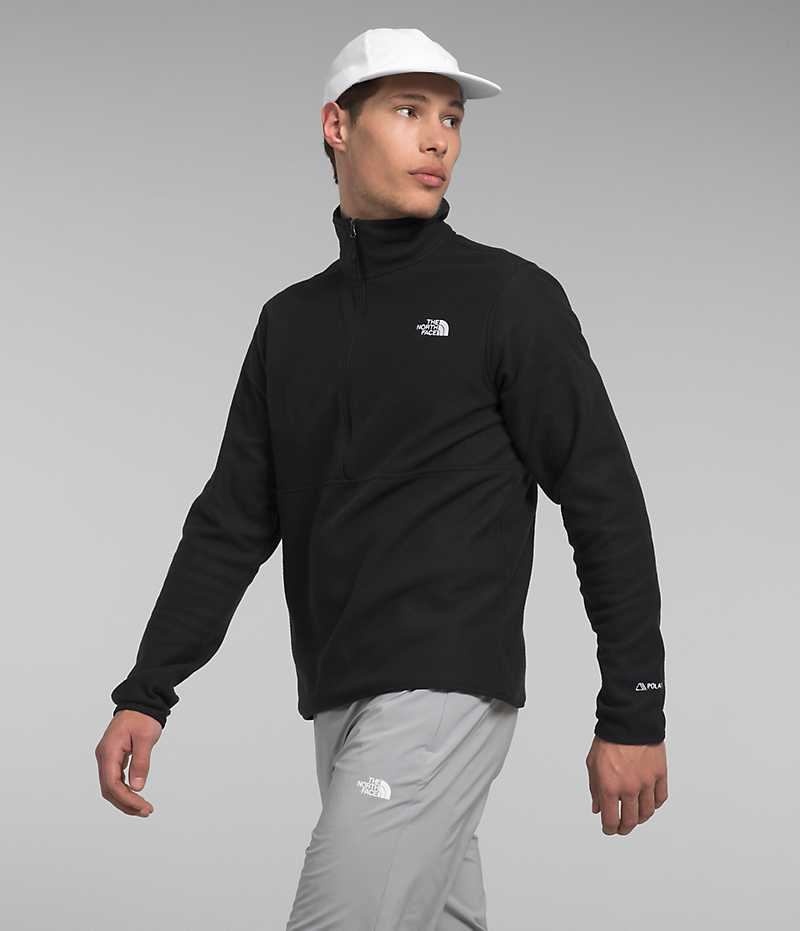 The North Face Alpine Polartec® 100 ½-Zip Sweatshirt Erkek Siyah | ISTANBUL MKBQ