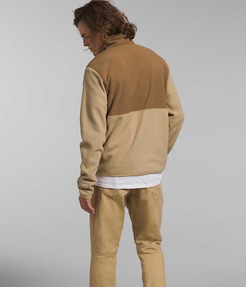 The North Face Alpine Polartec® 100 ½-Zip Sweatshirt Erkek Haki Kahverengi | TÜRKIYE FAZR