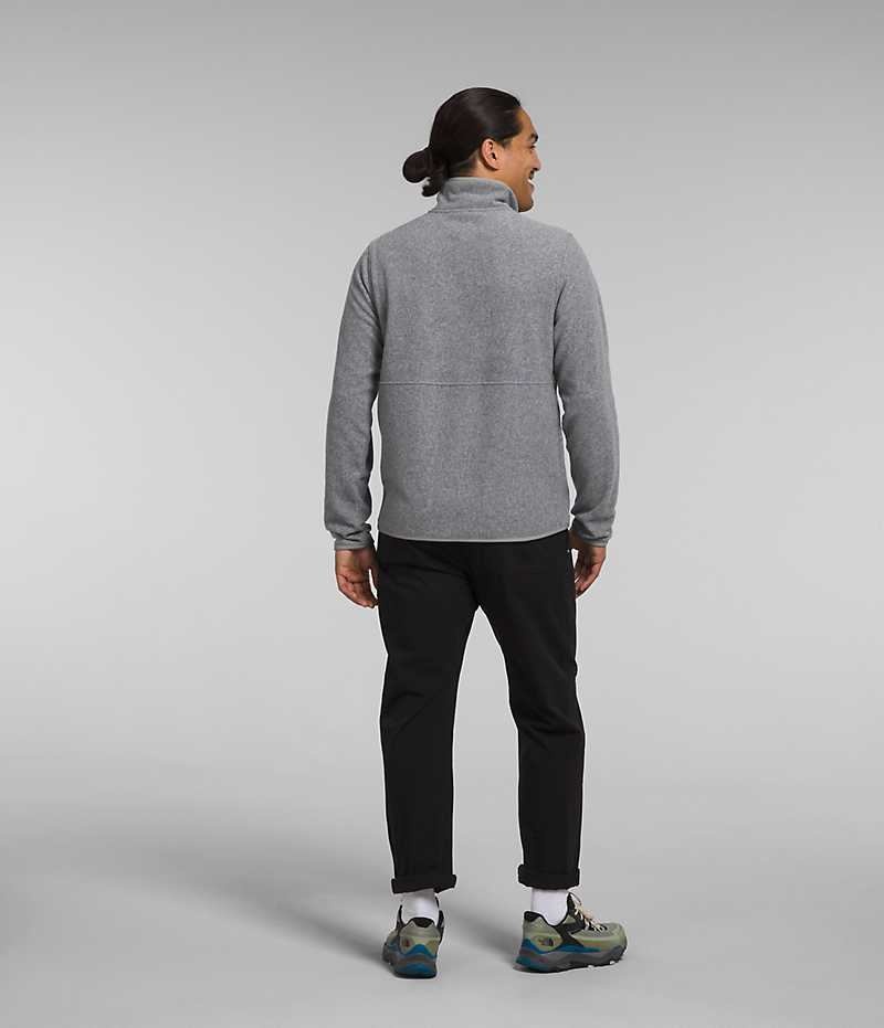 The North Face Alpine Polartec® 100 ½-Zip Sweatshirt Erkek Gri | ISTANBUL WUCS