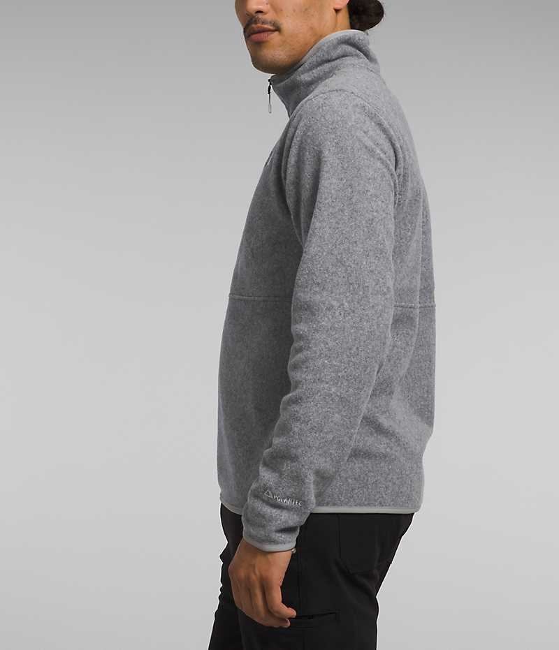 The North Face Alpine Polartec® 100 ½-Zip Sweatshirt Erkek Gri | ISTANBUL WUCS