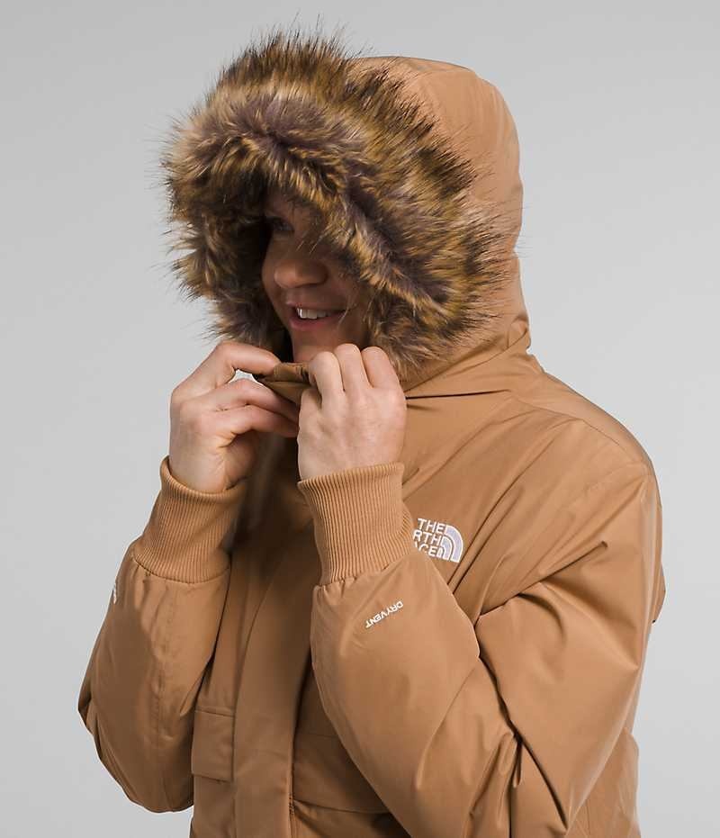 The North Face Arctic Bomber Mont Kadın Kahverengi | TÜRKIYE IAWF
