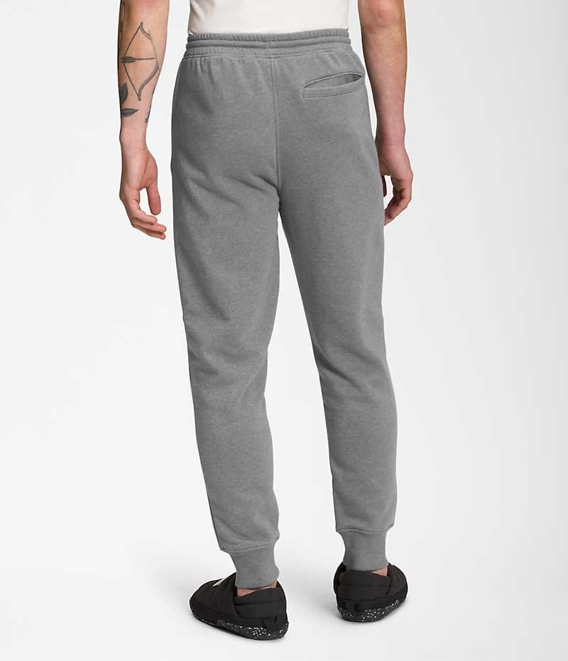 The North Face Box NSE Jogger Pantolon Erkek Gri | TÜRKIYE WFQH