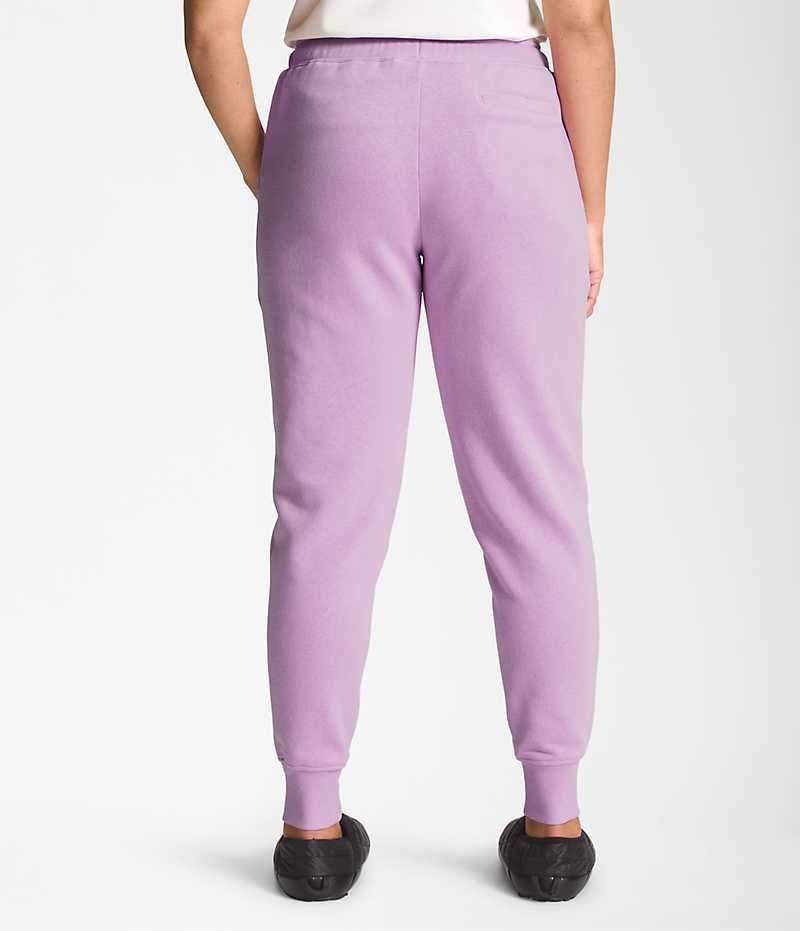 The North Face Box NSE Jogger Pantolon Kadın Lavanta | ISTANBUL NVFO