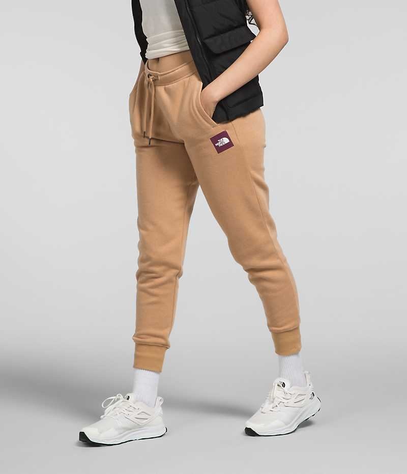 The North Face Box NSE Jogger Pantolon Kadın Haki | TÜRKIYE QBSU