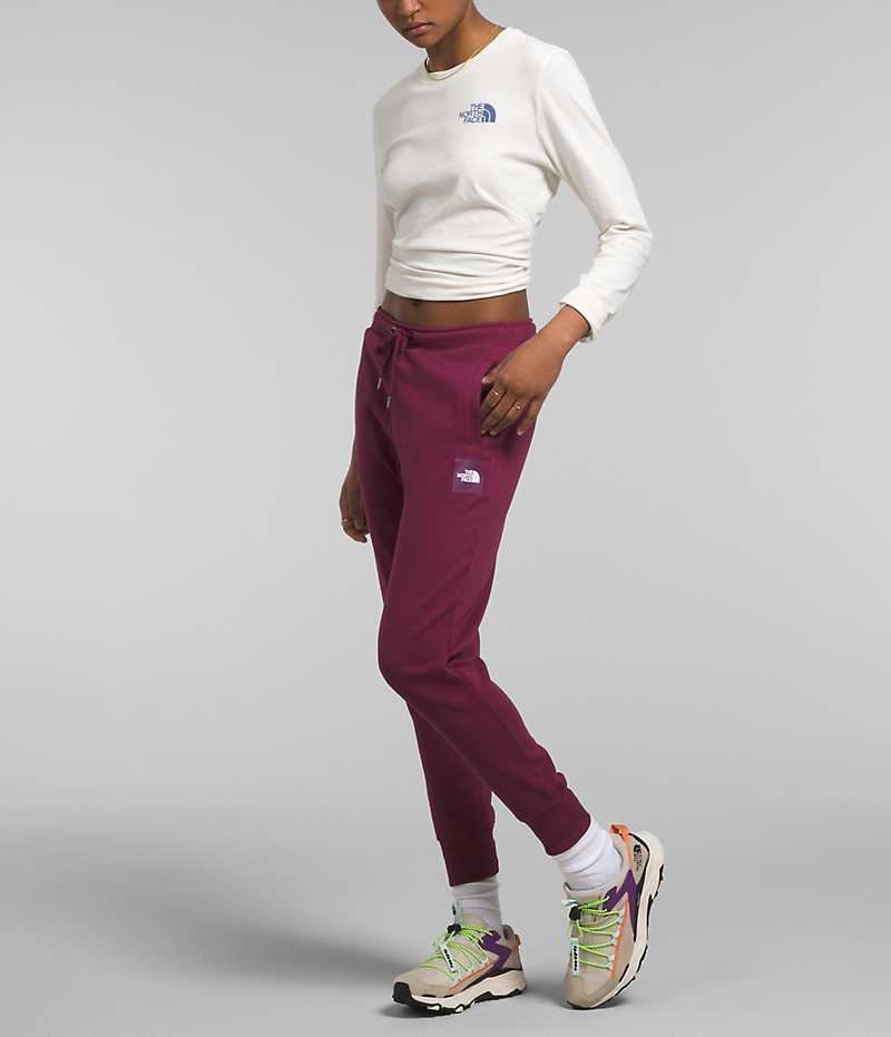 The North Face Box NSE Jogger Pantolon Kadın Bordo | ISTANBUL JDCF