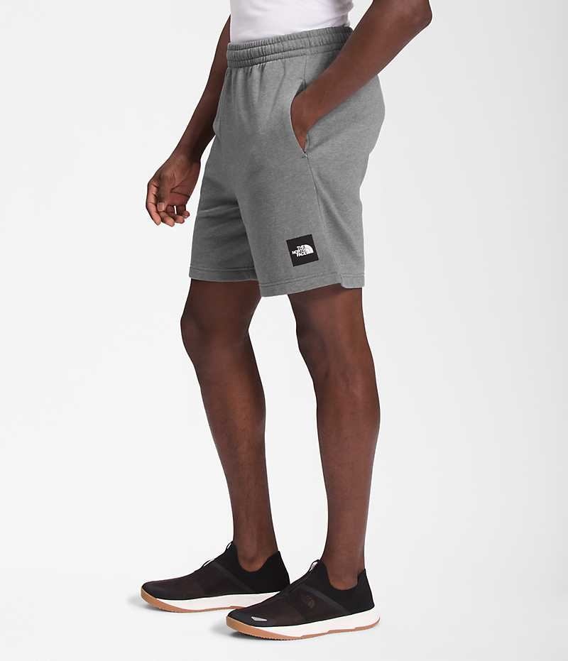 The North Face Box NSE Şort Erkek Gri | TÜRKIYE FNXY