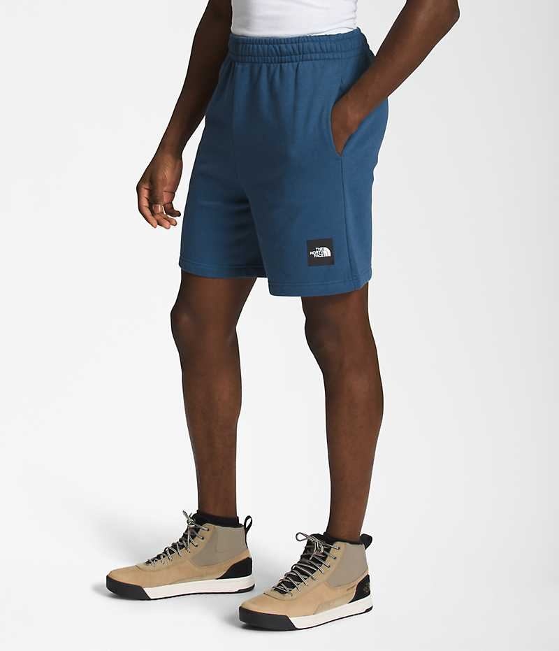 The North Face Box NSE Şort Erkek Mavi | ISTANBUL FGXT