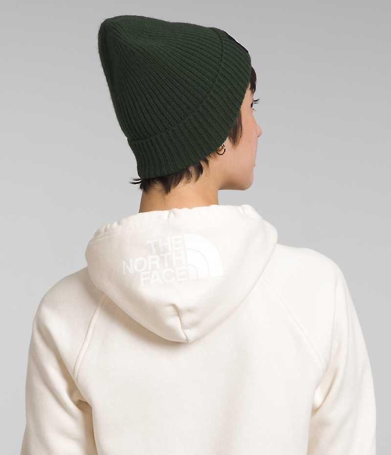 The North Face Brand Proud Full-Zip Hoodie Polar Ceketler Kadın Beyaz | ISTANBUL NHYC