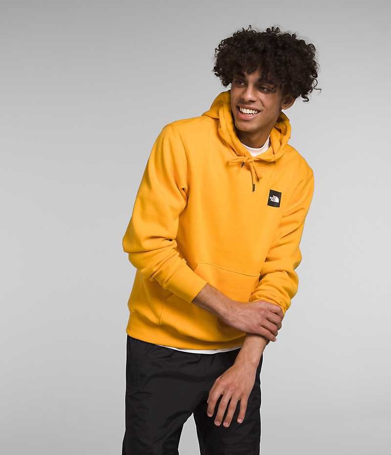 The North Face Brand Proud Kapşonlu Erkek Altın | TÜRKIYE HCJX