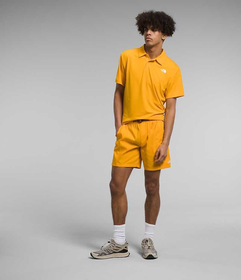 The North Face Class V Belted Şort Erkek Altın | ISTANBUL ADVL