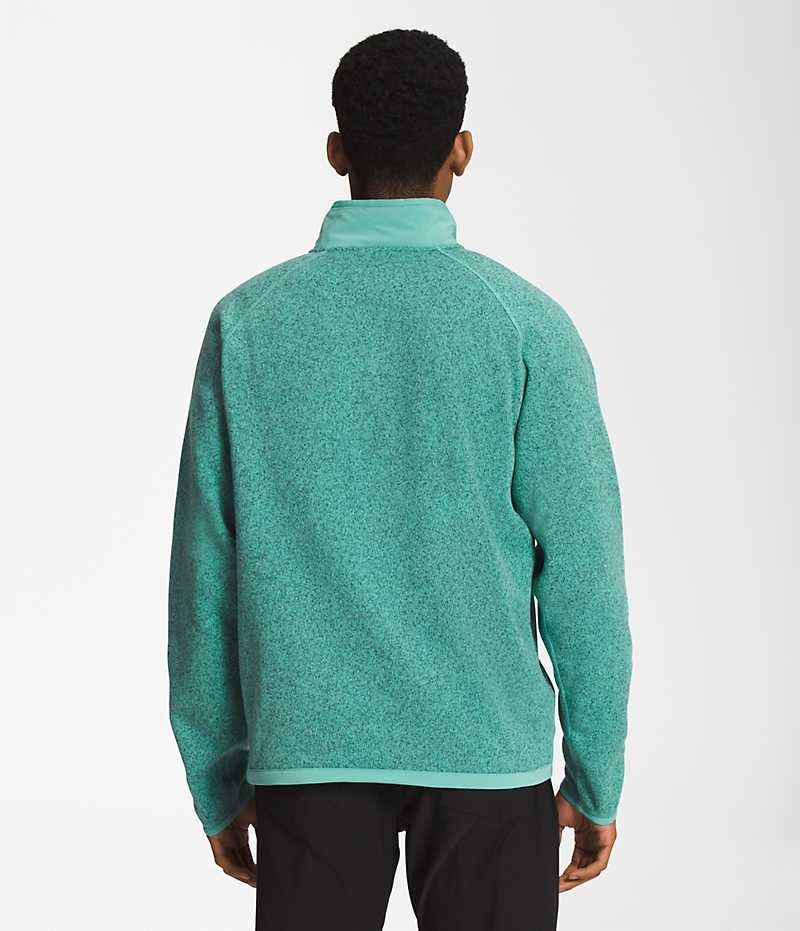 The North Face Gordon Lyons ¼-Zip Sweatshirt Erkek Turkuaz | ISTANBUL JYGF