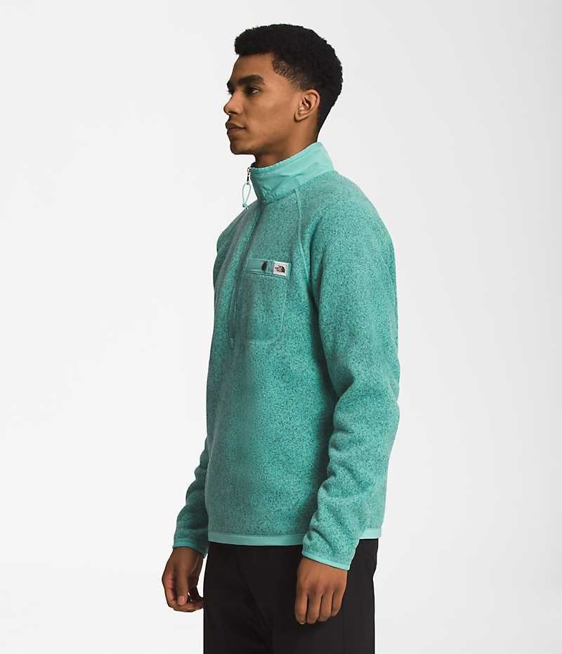 The North Face Gordon Lyons ¼-Zip Sweatshirt Erkek Turkuaz | ISTANBUL JYGF