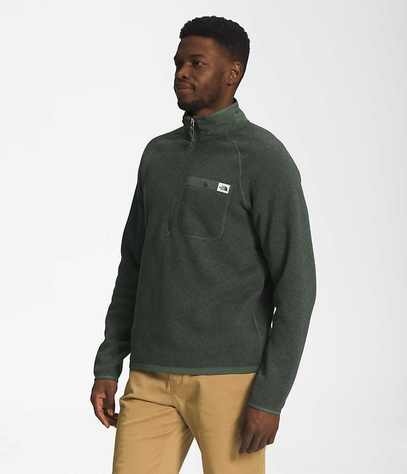 The North Face Gordon Lyons ¼-Zip Sweatshirt Erkek Yeşil | TÜRKIYE RQYA
