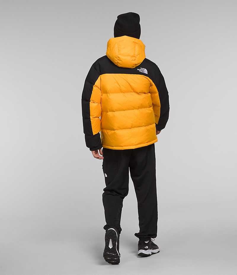 The North Face HMLYN Down Parka Erkek Altın Siyah | ISTANBUL AJYP