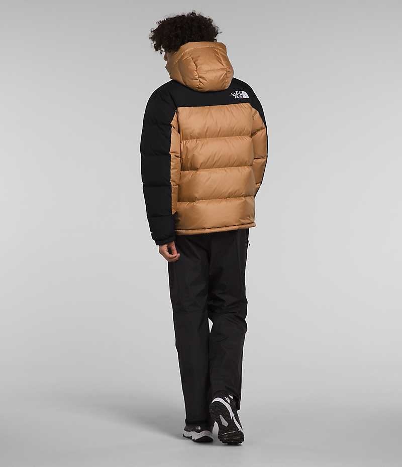 The North Face HMLYN Down Parka Erkek Haki Siyah | ISTANBUL KSRB