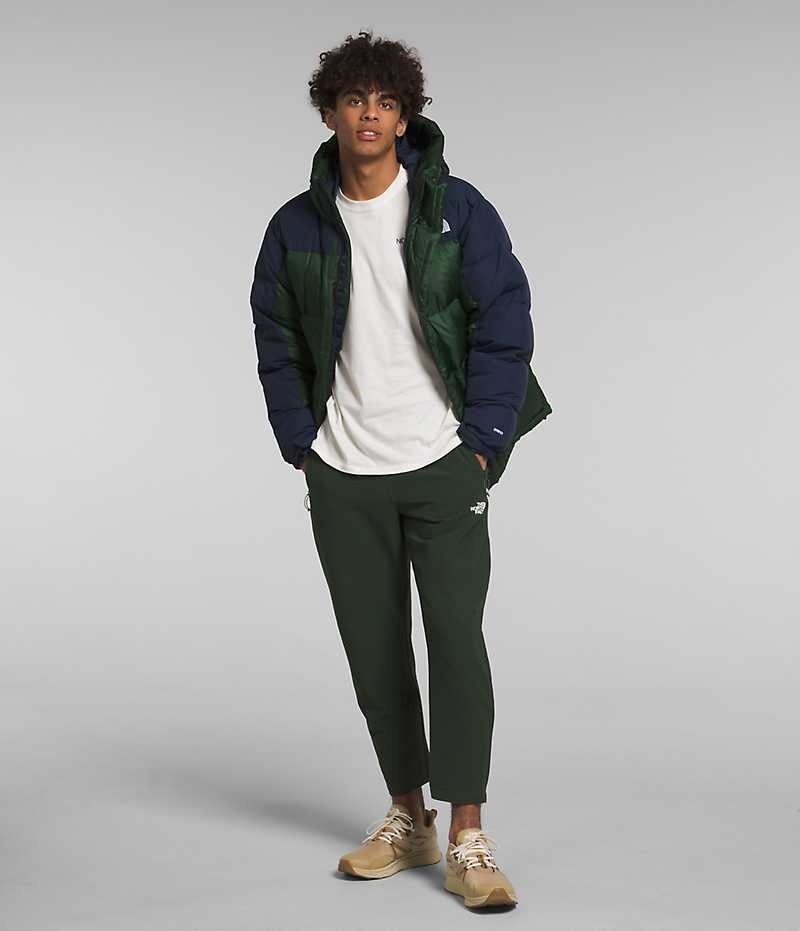 The North Face HMLYN Down Parka Erkek Yeşil Lacivert | TÜRKIYE PJVG