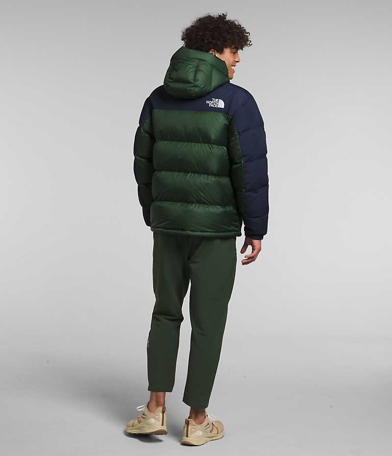 The North Face HMLYN Down Parka Erkek Yeşil Lacivert | TÜRKIYE PJVG