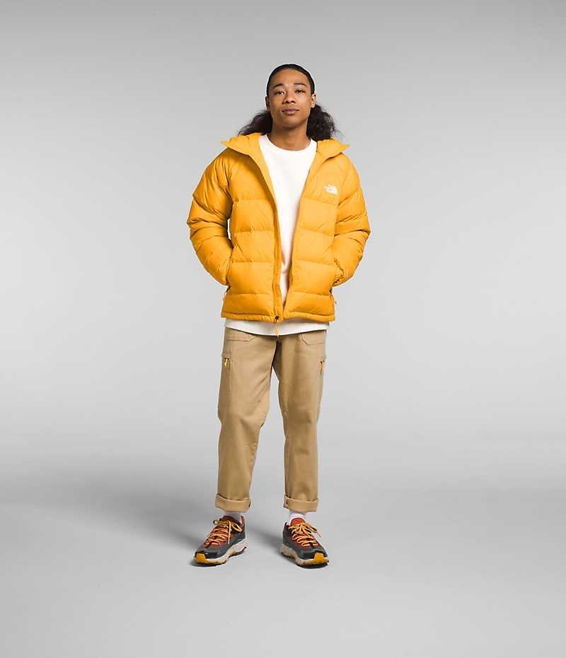 The North Face Hydrenalite™ Hoodie Aşağı Ceket Erkek Altın | TÜRKIYE TIVF