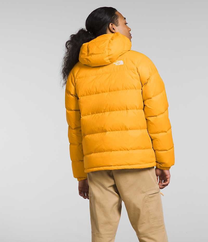 The North Face Hydrenalite™ Hoodie Aşağı Ceket Erkek Altın | TÜRKIYE TIVF