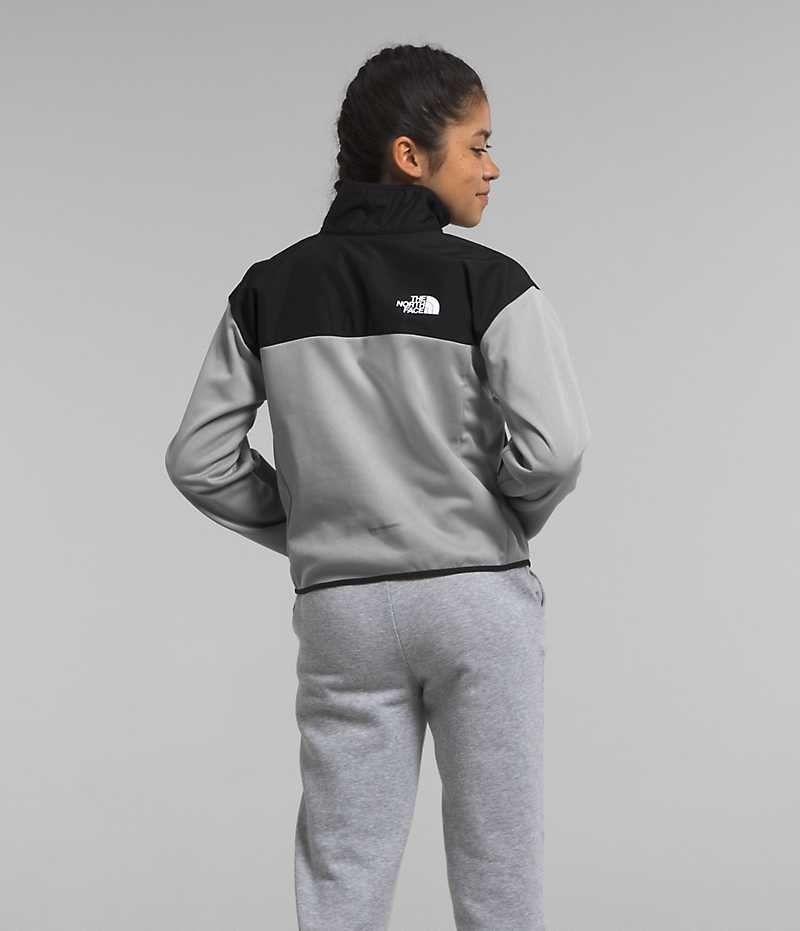 The North Face Kışlık Warm ½-Zip Sweatshirt Kiz Çocuk Gri | ISTANBUL SUIA