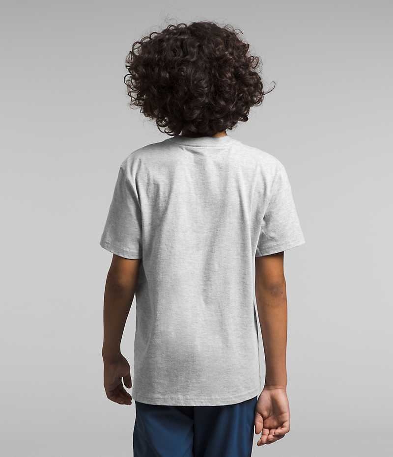 The North Face Kısa Sleeve Baskılı Tişört Erkek Çocuk Açık Gri | ISTANBUL YMXV