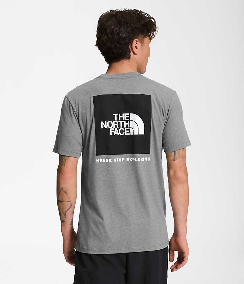 The North Face Kısa Sleeve Box NSE Tişört Erkek Gri | TÜRKIYE TCZV