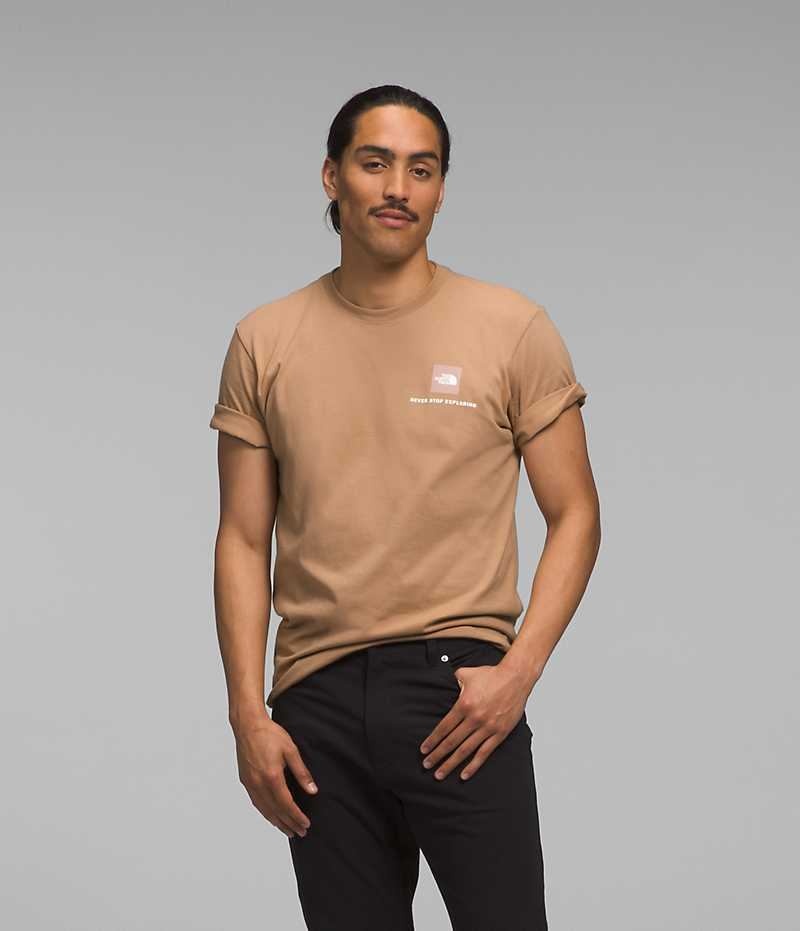 The North Face Kısa Sleeve Box NSE Tişört Erkek Haki | ISTANBUL YWZG