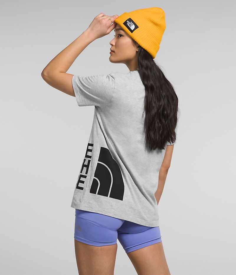 The North Face Kısa Sleeve Brand Proud Tişört Kadın Açık Gri | TÜRKIYE SNOD