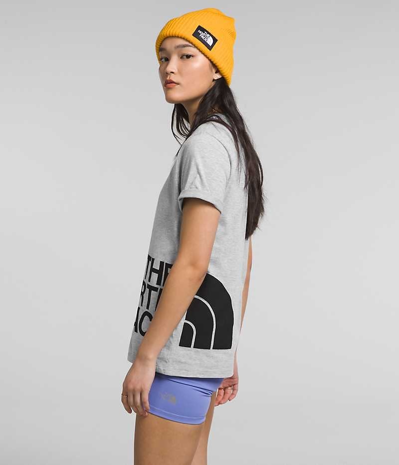 The North Face Kısa Sleeve Brand Proud Tişört Kadın Açık Gri | TÜRKIYE SNOD