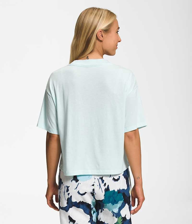 The North Face Kısa Sleeve Half Dome Crop Tişört Kadın Nane | TÜRKIYE DZTB