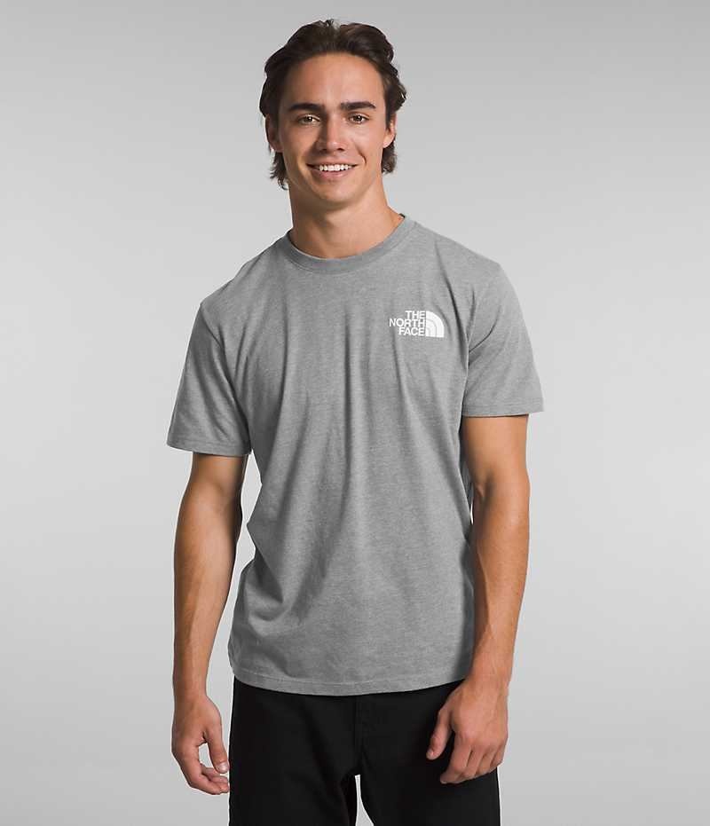 The North Face Kısa Sleeve Solo Tişört Erkek Gri | ISTANBUL ADKM