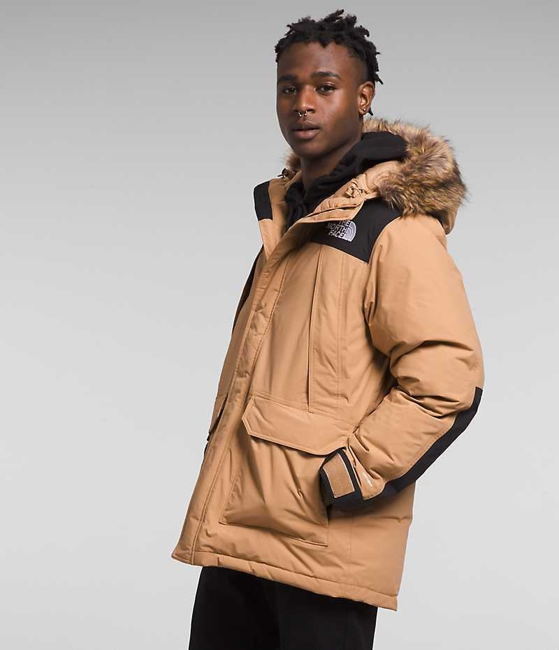 The North Face McMurdo Parka Erkek Bej Rengi | TÜRKIYE EGJT