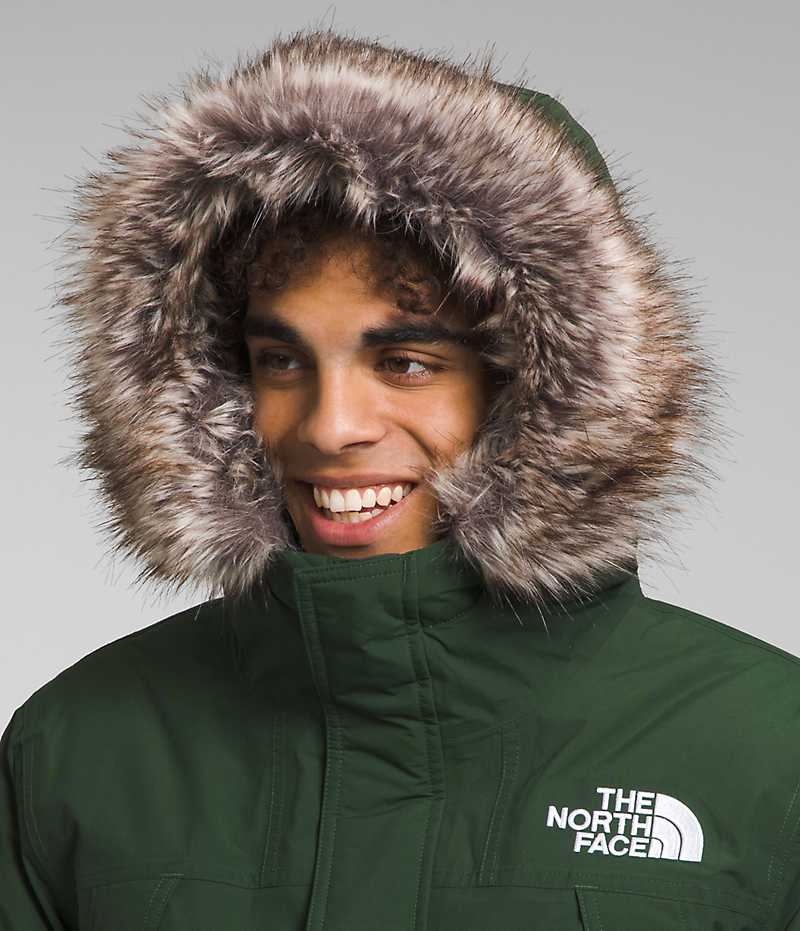 The North Face McMurdo Parka Erkek Yeşil | ISTANBUL SPVH