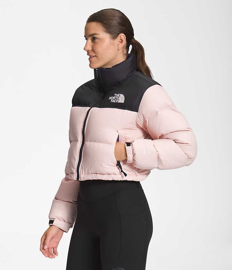 The North Face Nuptse Kısa Aşağı Ceket Kadın Pembe | TÜRKIYE PSIV