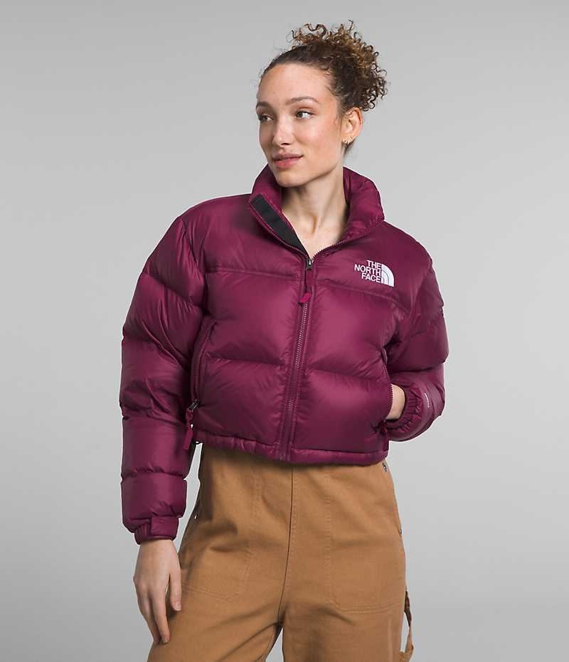 The North Face Nuptse Kısa Aşağı Ceket Kadın Kırmızı | ISTANBUL TKLY