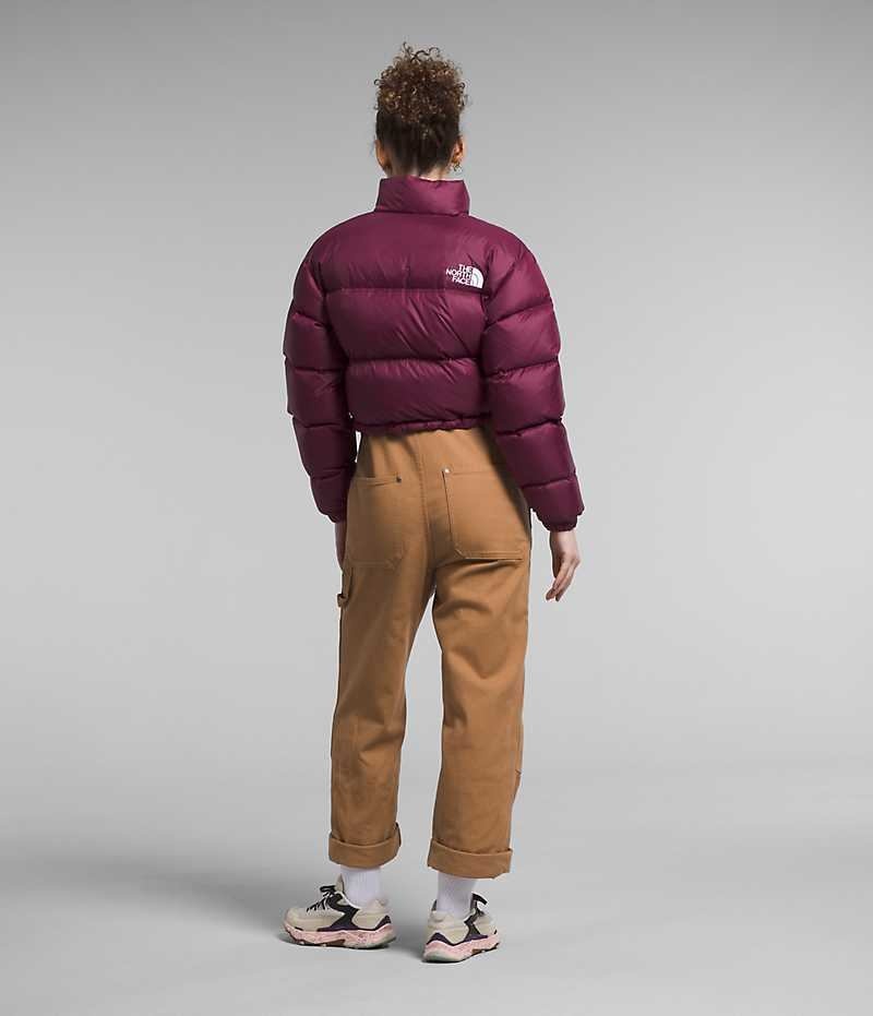 The North Face Nuptse Kısa Aşağı Ceket Kadın Kırmızı | ISTANBUL TKLY