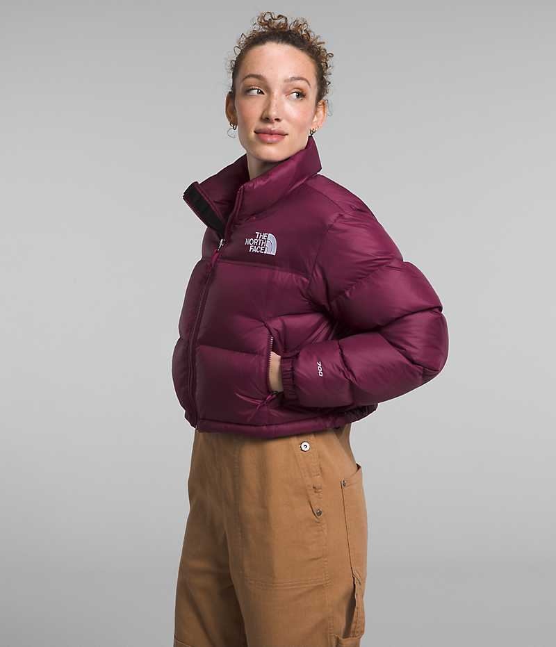 The North Face Nuptse Kısa Aşağı Ceket Kadın Kırmızı | ISTANBUL TKLY