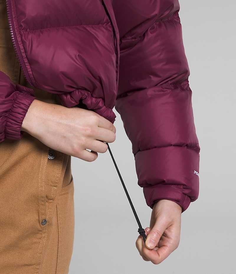 The North Face Nuptse Kısa Aşağı Ceket Kadın Kırmızı | ISTANBUL TKLY